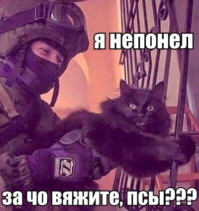 2k-fWQN5krQ
