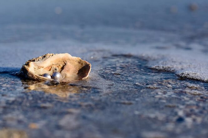 Нет, это не песчинки: как на самом деле моллюски создают жемчуг