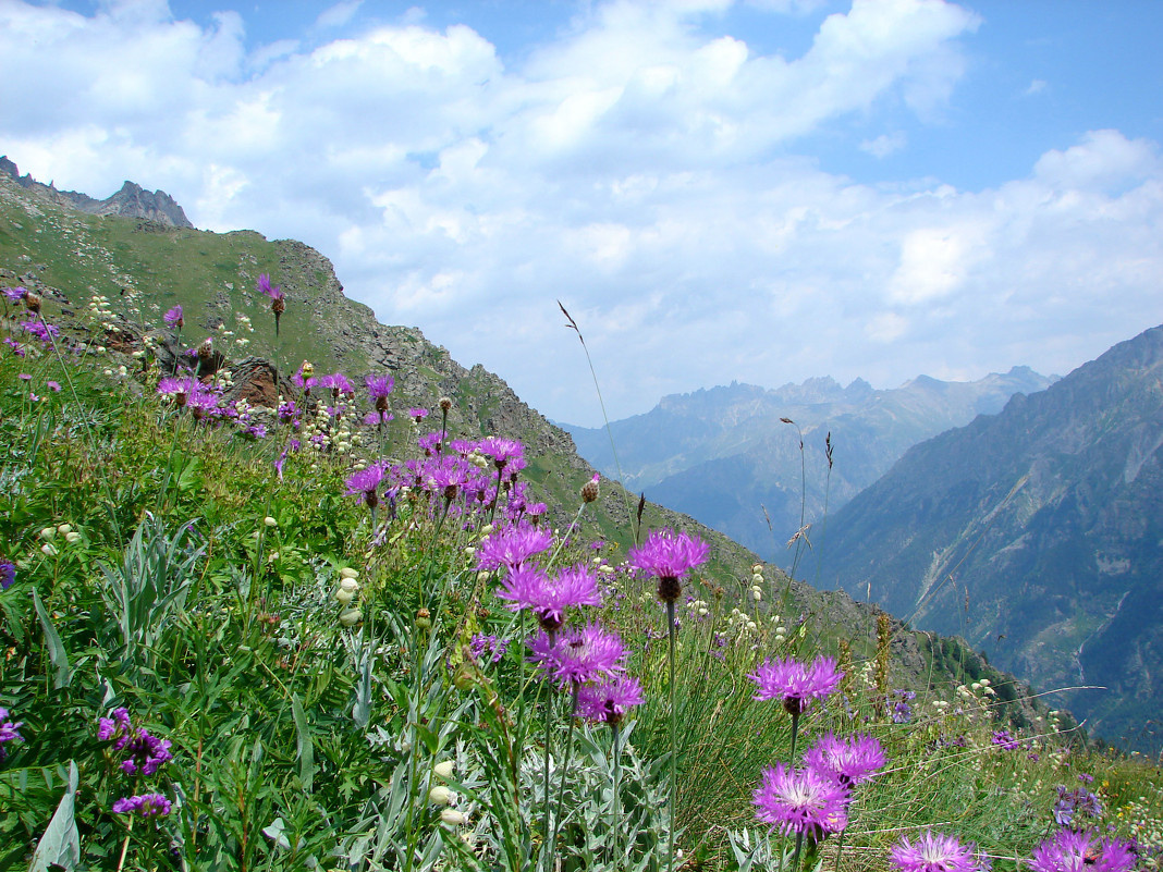 ÃÂÃÂ°ÃÂÃÂ¸ÃÂ»ÃÂÃÂº ÃÂ¿ÃÂ¾ÃÂ´ÃÂ±ÃÂµÃÂ»ÃÂÃÂ½ÃÂ½ÃÂÃÂ¹ ÃÂ½ÃÂ° ÃÂ²ÃÂÃÂÃÂ¾ÃÂÃÂµ 2800 ÃÂ¼, ÃÂ£ÃÂ·ÃÂÃÂ½ÃÂºÃÂ¾ÃÂ», ÃÂÃÂ°ÃÂÃÂ°ÃÂÃÂ°ÃÂµÃÂ²ÃÂ¾-ÃÂ§ÃÂµÃÂÃÂºÃÂµÃÂÃÂ¸ÃÂ.