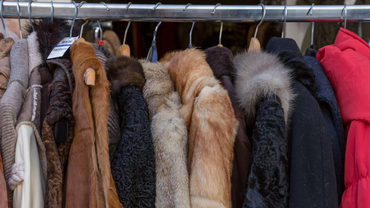 Меховая швейная фабрика в Екатеринбурге расширяет производство