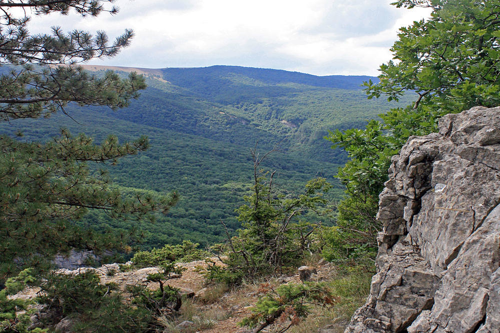 Бойка Бойка путешествия
