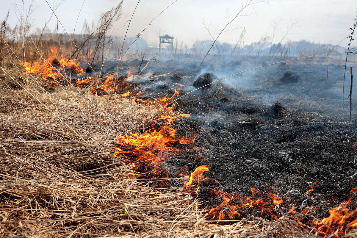 РИА: в Волгоградской области на месте падения Су-34 загорелась сухая трава