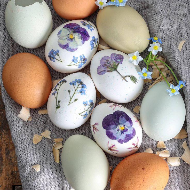 Как покрасить яйца на Пасху: 100 креативных идей Как покрасить яйца на Пасху: 100 креативных идей сделать, минут, можно, через, покрасить, цветок, подержать, использовать, узоры, красителя, убавить, окунуть, целиком, Можно, полоски, яичного, нарисовать, простых, нехитрый, получится