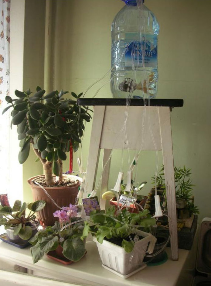 Как самостоятельно сделать автополив для комнатных растений? для дома и дачи,мастер-класс
