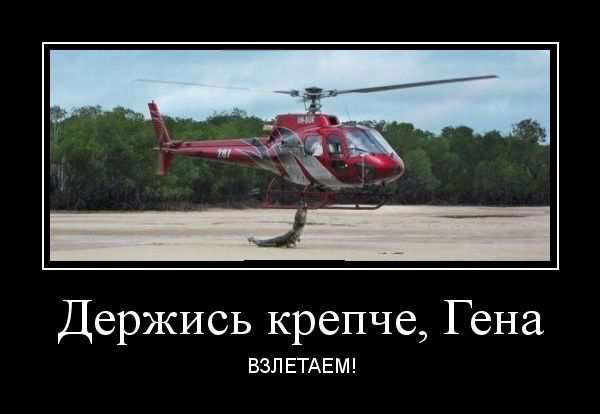 Демотиваторы – приколы: «Контенна» 