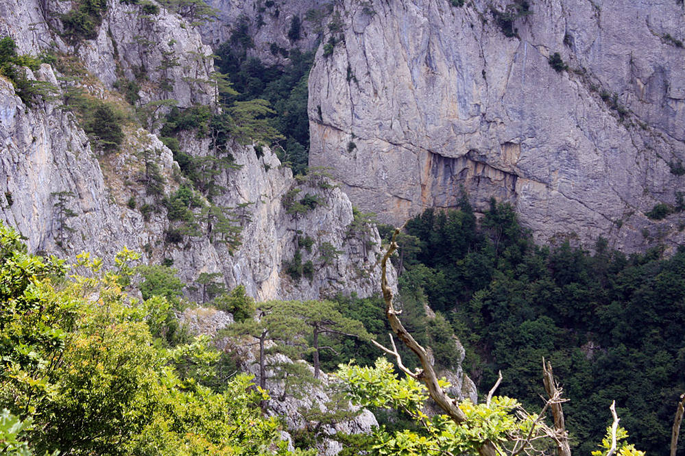 Бойка Бойка путешествия