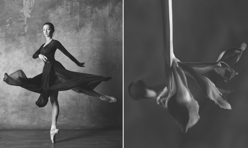 Фотография: Балерина и цветы: фотосерия о сходстве двух изяществ №9 - BigPicture.ru