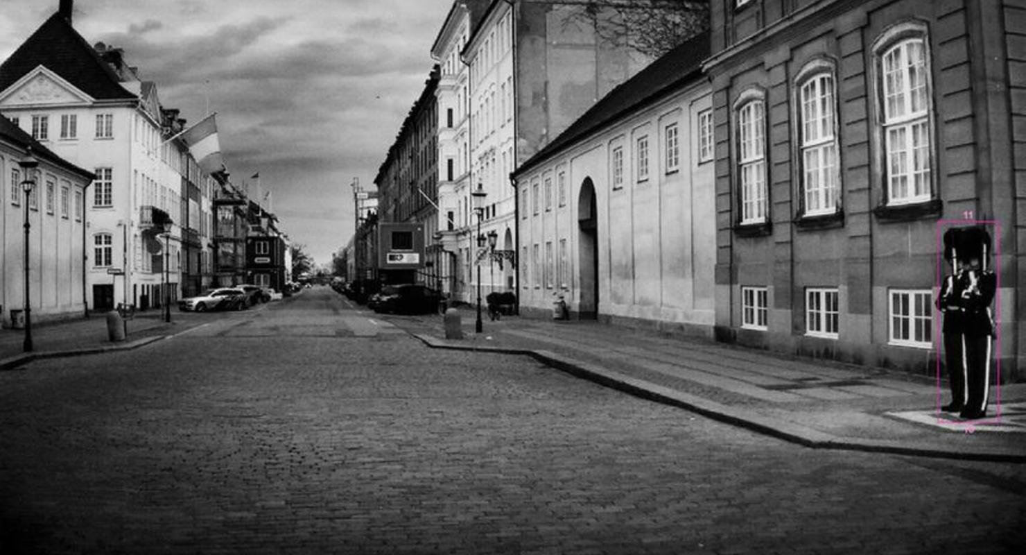 С помощью камер кругового обзора на Volvo создано 30 уникальных фотографий