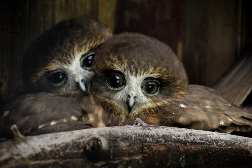 Красивые и завораживающие фотографии с картинками из сети