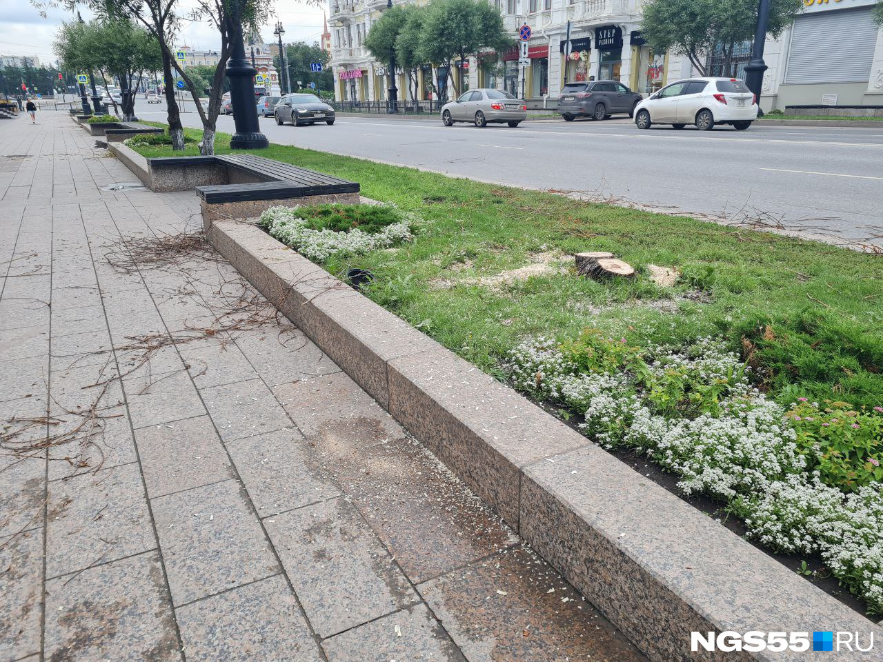 На Любинском проспекте срубили ивы