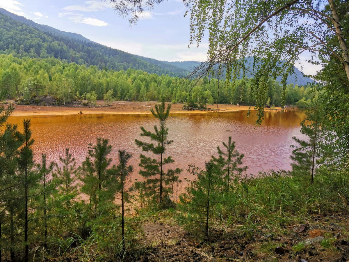 Красное озеро. Красное озеро Хакасия. Горный массив оз. Баланкуль Хакасия. Красное озеро село Хакасия. Баланкуль озеро Хакасия.