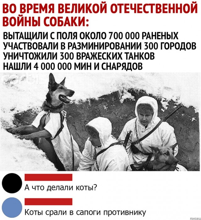 100% ржака, от которой болит живот. Поддержите тему Лайком!