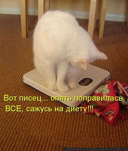 Зажигательный юмор на ярком фоне 