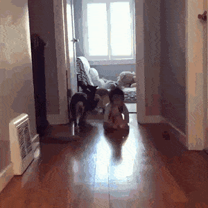 Интересные гифки 17 января 2022 года