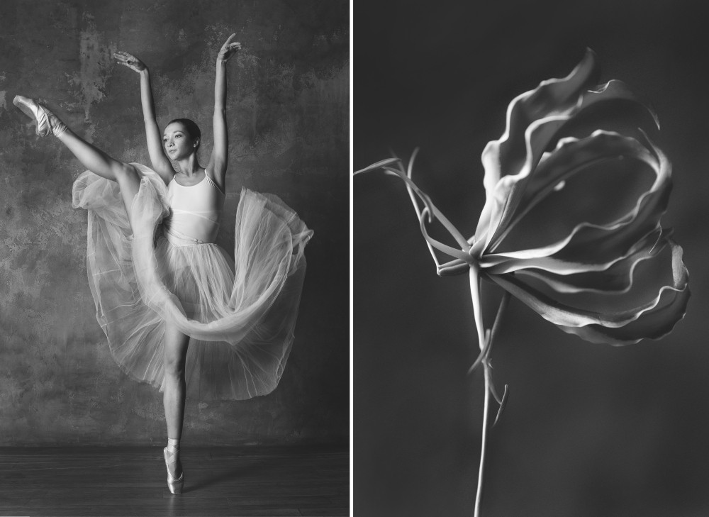 Фотография: Балерина и цветы: фотосерия о сходстве двух изяществ №6 - BigPicture.ru