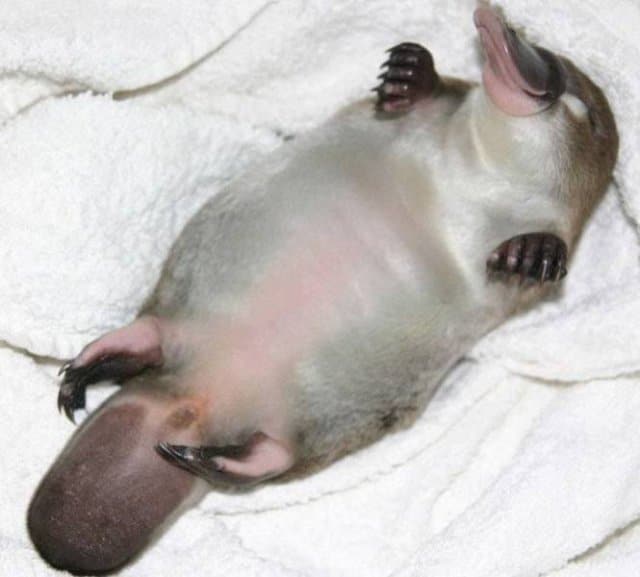 11 удивительных фото, на которые точно стоит взглянуть 11 удивительных фото, на которые точно стоит взглянуть интересное,фотография