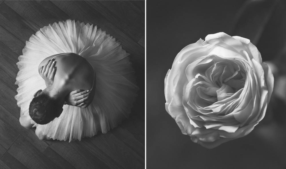 Фотография: Балерина и цветы: фотосерия о сходстве двух изяществ №8 - BigPicture.ru