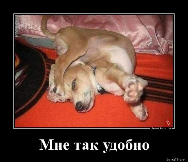 Новая коллекция демотивирующих картинок на любой вкус для всех читателей нашего сайта 