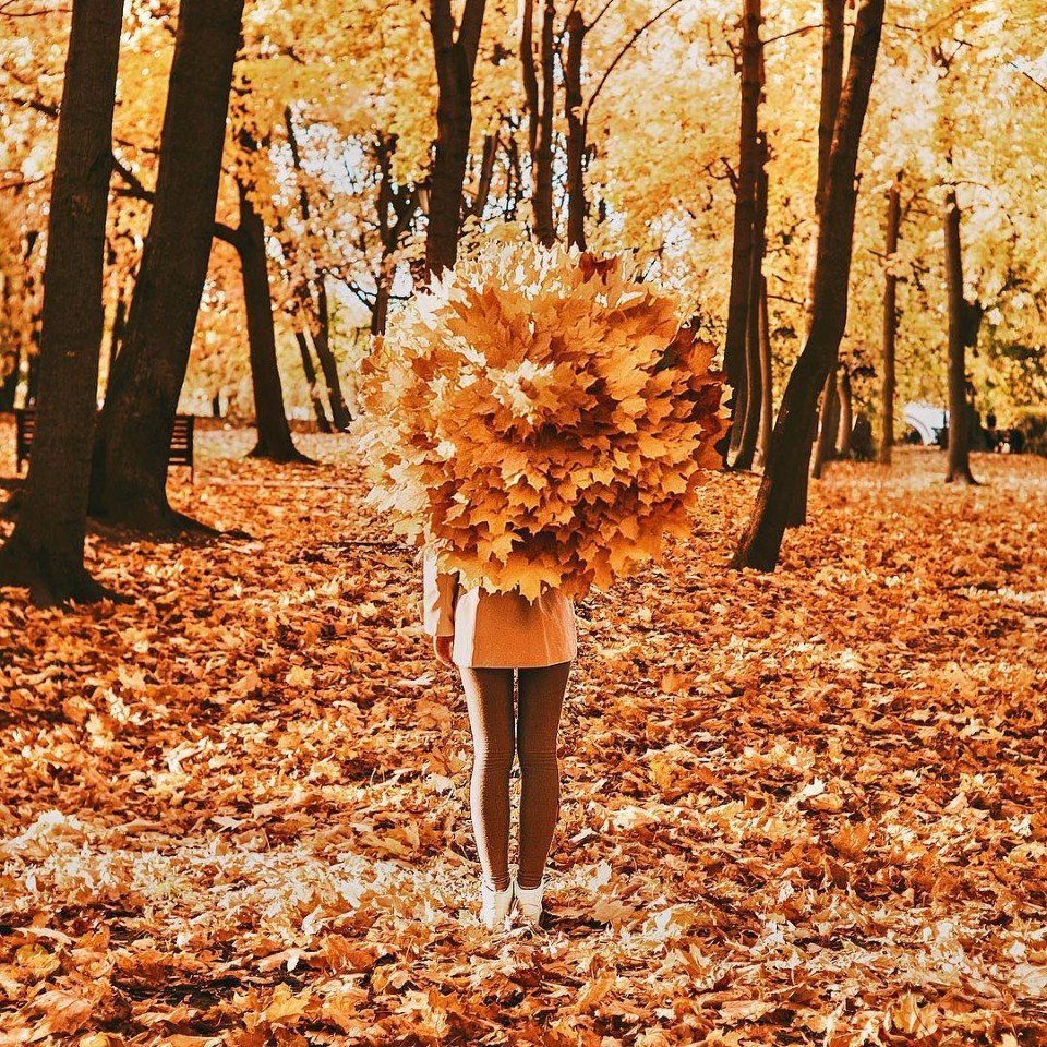 необычные фотографии с осенними листьями