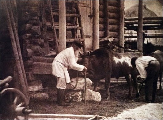 Донской альбом Ивана Болдырева 1875-1876 г.г. Донской альбом Ивана Болдырева 1875-1876 г.г.