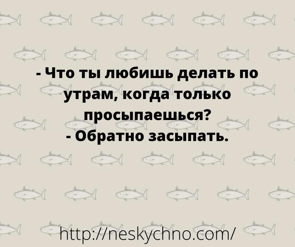 Несколько добрых и смешных историй из жизни Несколько добрых и смешных историй из жизни