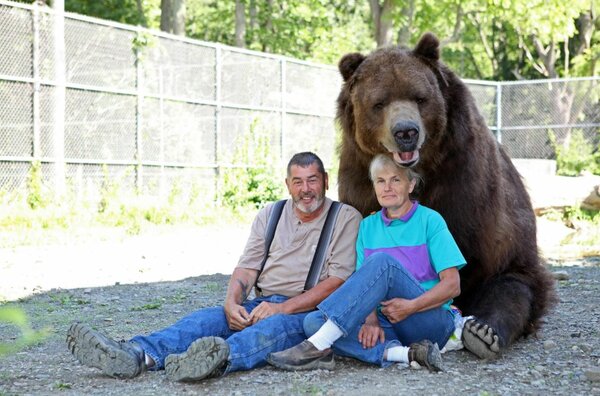 Это вторая статья, посвященная нашему изучению жителей зоопарка в центре Москвы