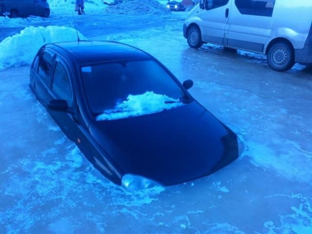 Подборка прикольных картинок Подборка прикольных картинок смешные картинки