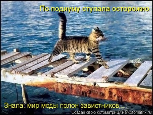Новая котоматрица 