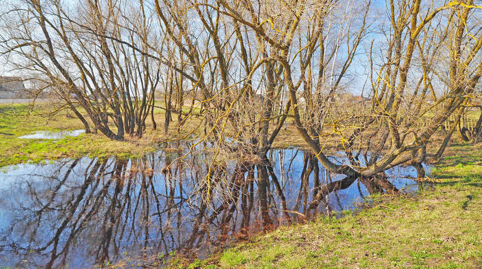 В деревне весной 
