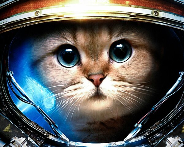 Америка опять пойдёт на поклон к России.