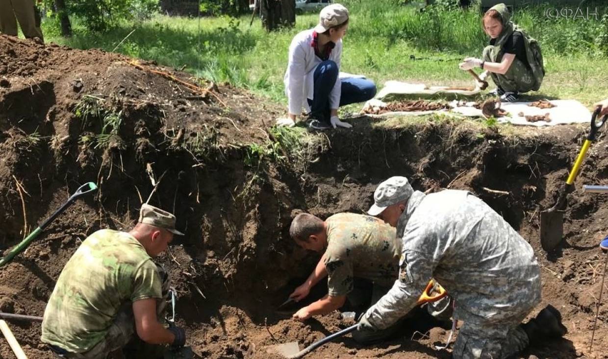 Ростовские поисковики проведут раскопки на месте массовых расстрелов горожан в годы войны Общество