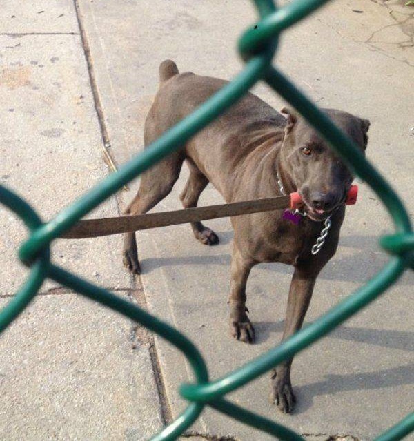 Подборка смешных картинок  позитив,приколы,смешные картинки,юмор