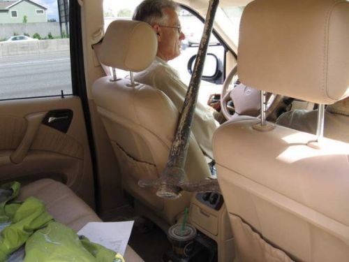 На волосок от смерти: эти люди сами не понимают, как сумели выжить На волосок от смерти: эти люди сами не понимают, как сумели выжить