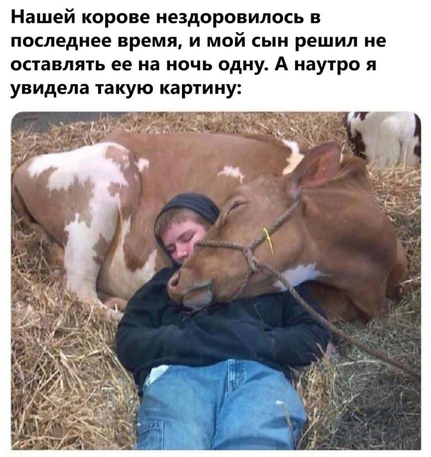 Лучшие приколы дня, картинки с надписями, смех до слез Лучшие приколы дня, картинки с надписями, смех до слез