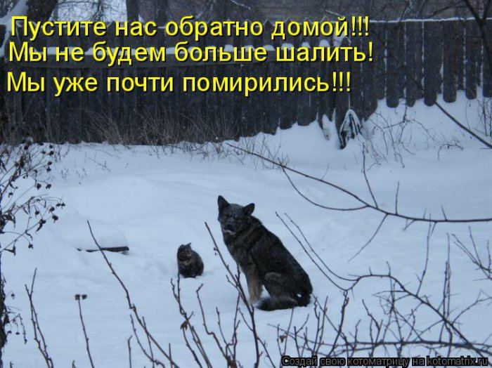 Мысли вслух :)