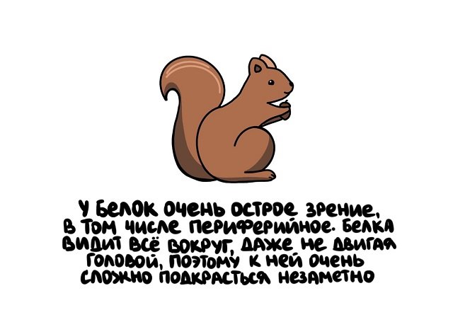 Интересные факты на все случаи жизни