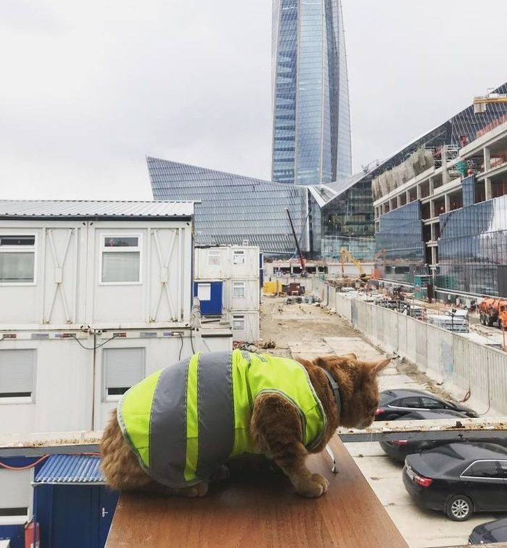 26 доказательств того, что Питер — это другая планета 26 доказательств того, что Питер — это другая планета