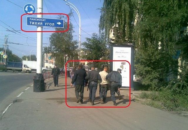 Полицейские приколы (33 фото)