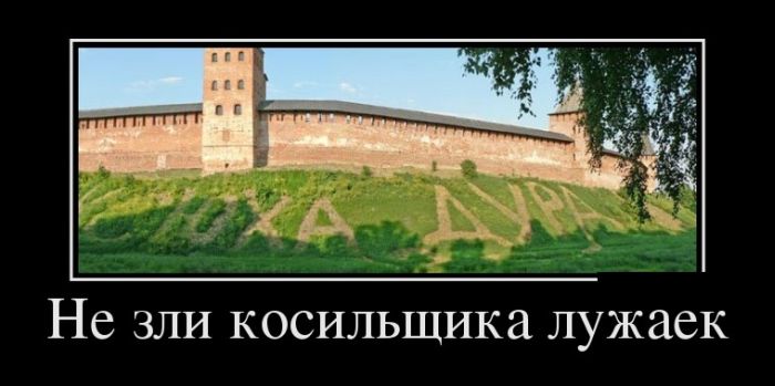 Подборка демотиваторов на сегодня 