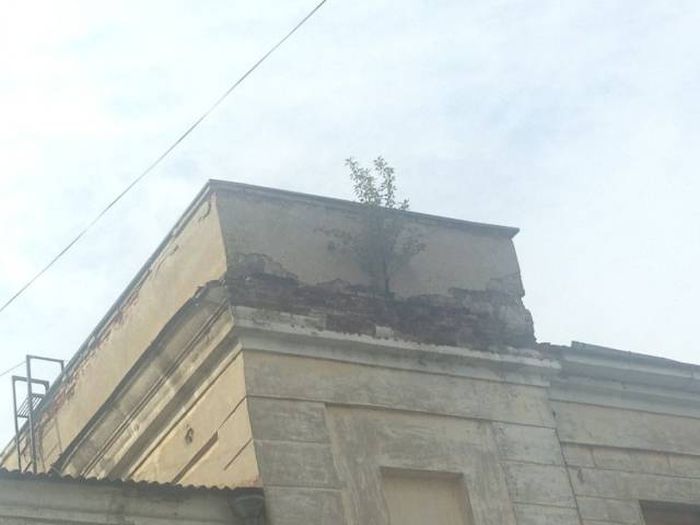 Красивые фото приколы из нашей жизни 