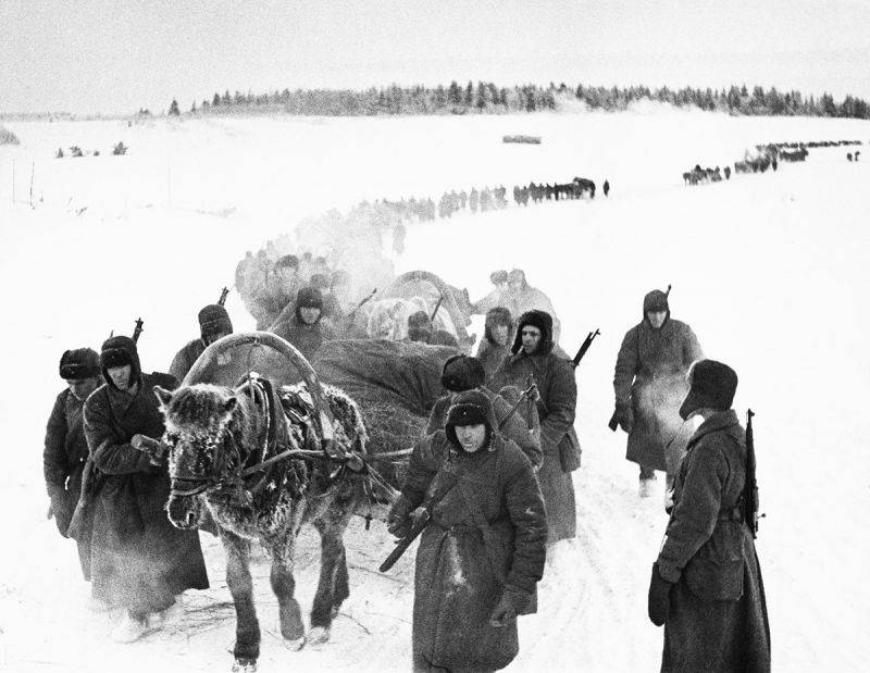 Операция «Дикий зверь». Как 2-я ударная армия попала в смертельную западню