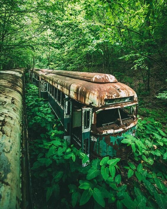 3. «Заброшенный поезд в Пенсильвании» в мире, вещи, жутковато, интересно, лес, находка