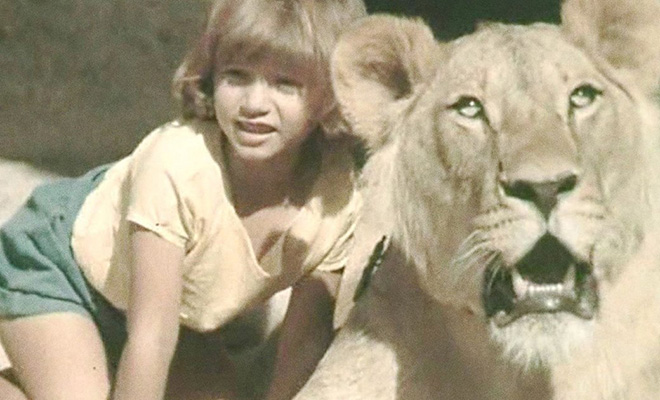 В 1970 году в советской квартире появился лев. Его планировали оставить лишь на время, но в итоге он жил здесь 8 лет