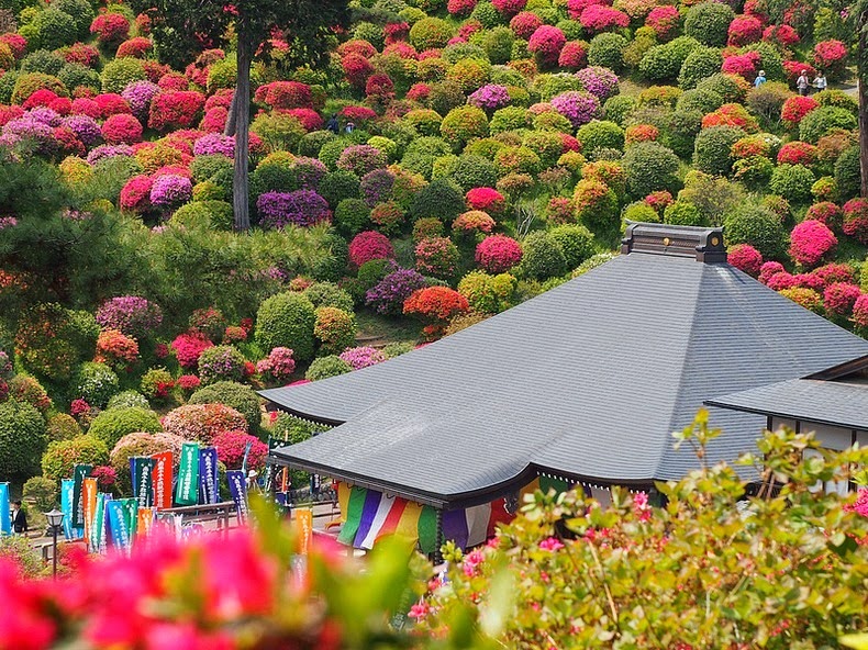 Shiofune-Kannon-ji Temple – буддийский храм, окруженный разноцветными кустами азалии авиатур