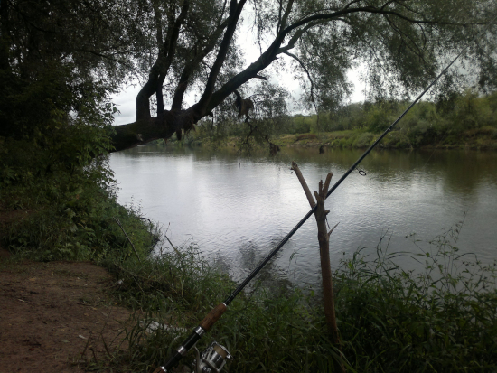 неудачная рыбалка