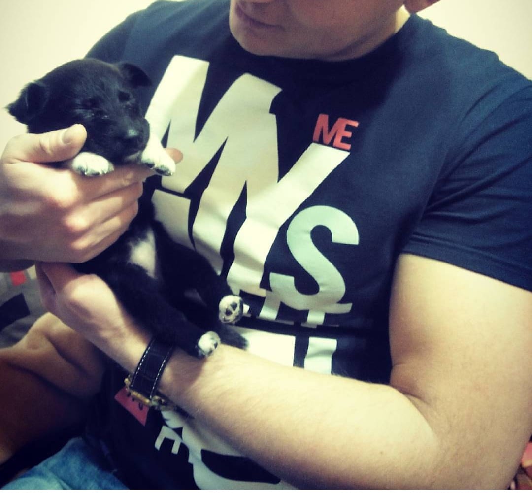 щенок и мужчина