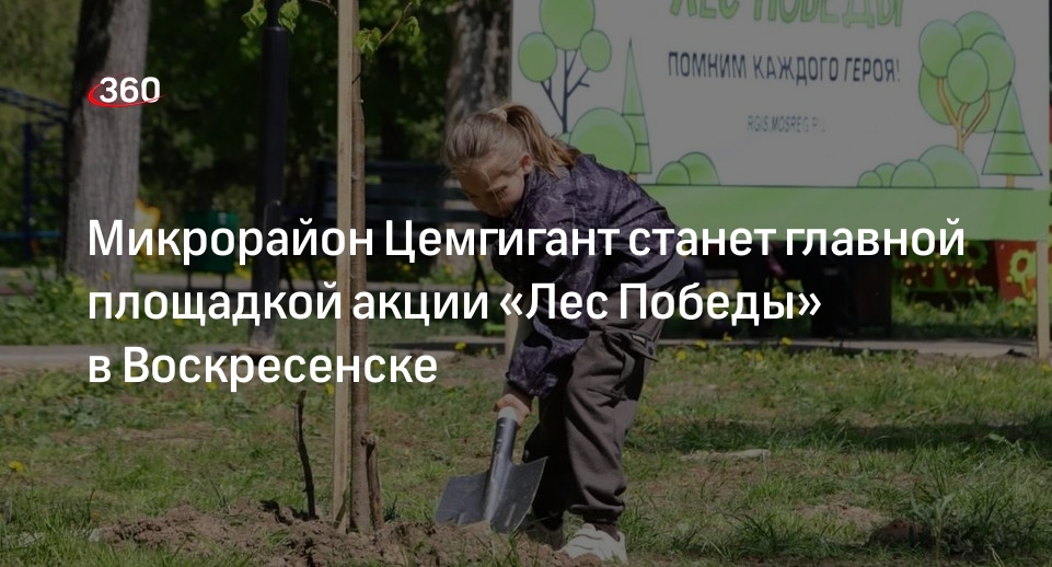 Микрорайон Цемгигант станет главной площадкой акции «Лес Победы» в Воскресенске