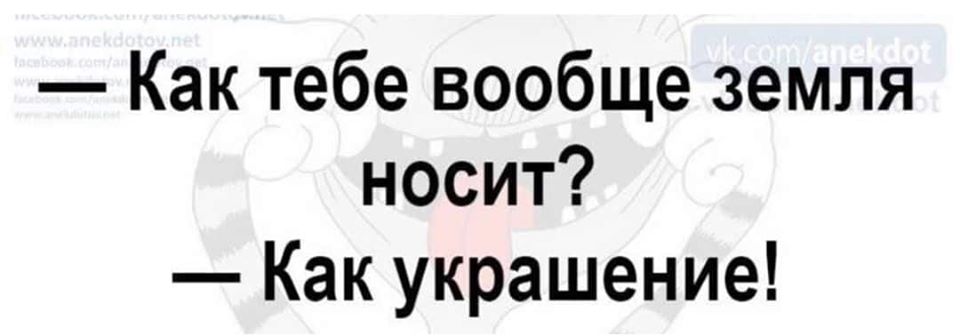 До нового года еще 340 дней, а у меня, как у идиота, ёлка уже стоит Белье…, постельное, просто, единственное, налезло, после, праздников… , httpsdokzlolivejournalcom3245476html