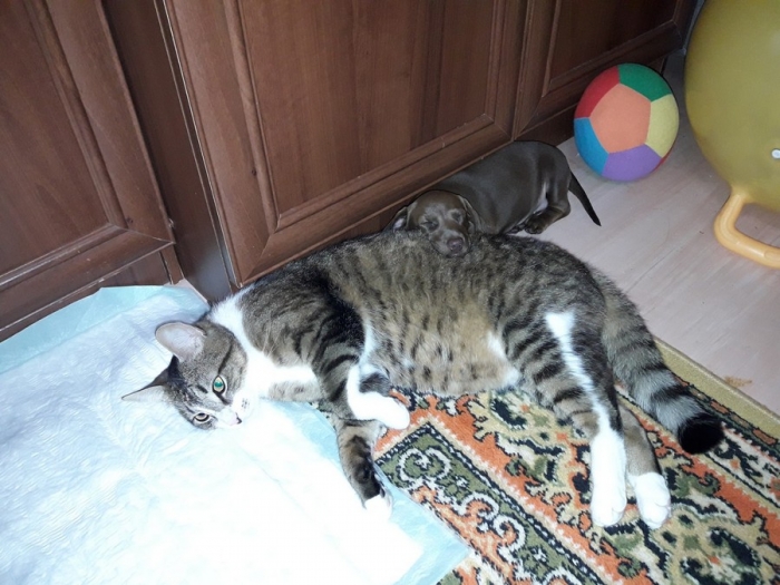 Фотоподборка 