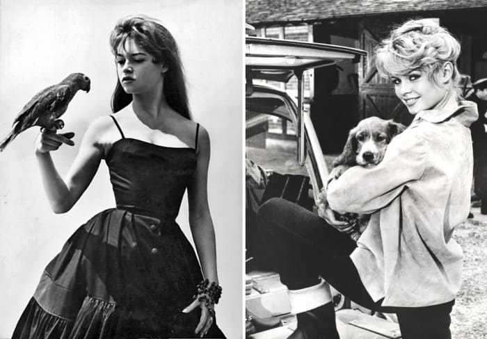 Брижит Бардо – 85: Две жизни одной из самых красивых и непредсказуемых актрис Брижит Бардо – 85: Две жизни одной из самых красивых и непредсказуемых актрис актрисы,Брижит Бардо,знаменитости,мода и красота,стиль жизни